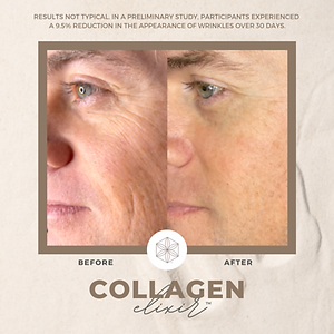 Collagen20BA202